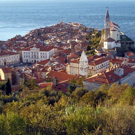 Sea View Istrian Countryside Apartment - Rota Dragonja Exterior photo