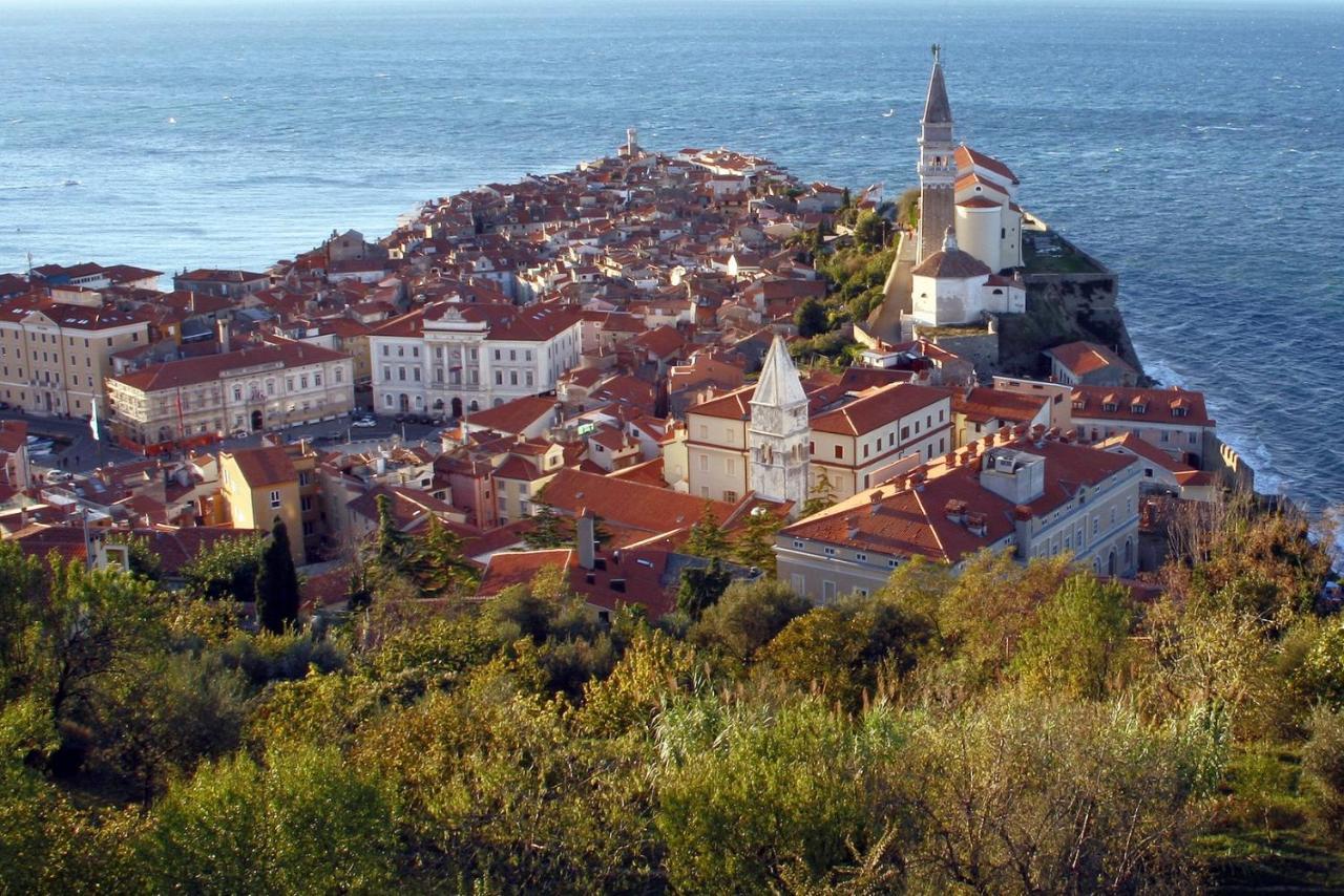 Sea View Istrian Countryside Apartment - Rota Dragonja Exterior photo